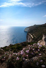 Photograph of rocks and purple flowers in the foreground