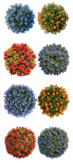 Collection of colorful flower bushes and shrubs viewed from above isolated on transparent background
