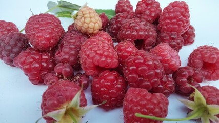 Ripe and unripe raspberries on white background, fresh organic summer berries with green leaf,...