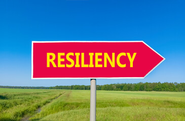 Resiliency symbol. Concept word Resiliency on beautiful red road sign. Beautiful blue sky green...