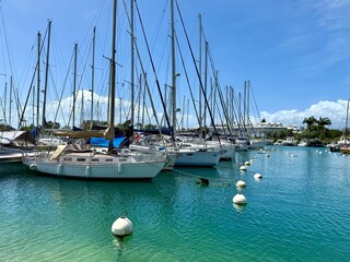 view of sailboats in a marina in Guadeloupe in the French West Indies  © Christophe