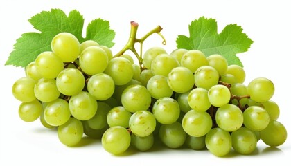 There are two bunches of green grapes with bright leaves on a white background. Fresh berries create an appetizing appearance, emphasizing the naturalness and juiciness of the fruit.