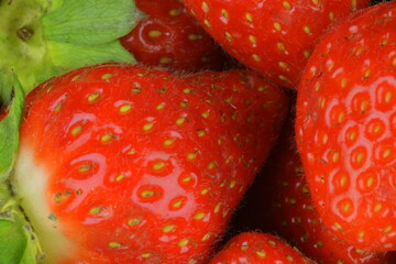Macro shot of ripe red strawberries on a black background. Ripe strawberries on a black slate background. Close-up and top view