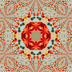 A kaleidoscope of red and white flowers