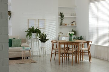 Comfortable sofa, table, chairs and green houseplants indoors. Interior design
