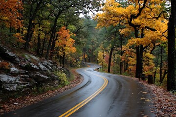 Obraz premium Serene asphalt road through colorful fall forest landscape 