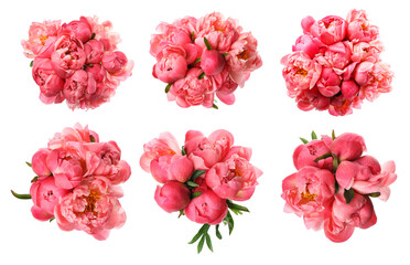 Peony bouquets on white background, collage. Top view
