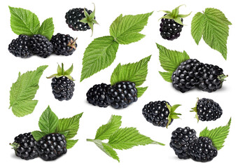 Fresh blackberries and green leaves on white background, collage