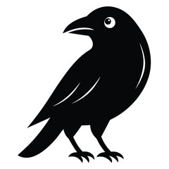 Silhouette of a Crow Bird