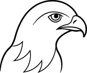 eagle head vector illustration