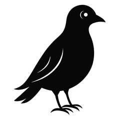 bird icon, nature animal silhouette, flying creature vector, wildlife clipart, sparrow symbol

