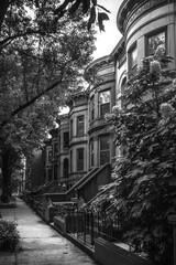 Brooklyn historic district in New York with classic brick buildings and tree-lined pedestrian footpaths, a black and white photo
