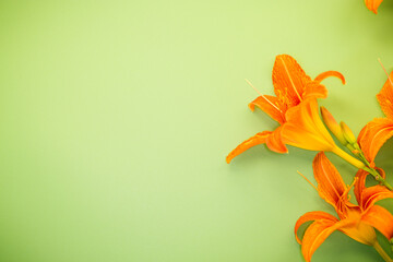 Rich orange lily petals on green