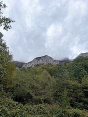  Foggy Mountains and Forested Hills with Dramatic Sky
