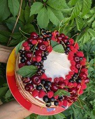 Homemade Summer Cake with Fresh Berries in Hands