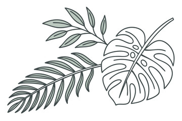 one-line-drawing-vector-monstera-leaf-and-palm-tre.eps