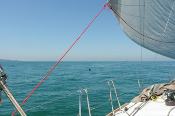 Seeing a small fishing net ot lobster pot buoy. A view from a small yacht sailing on the south...