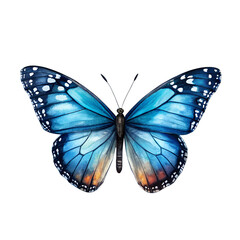 A blue watercolor butterfly with spread wings is isolated on transparent background