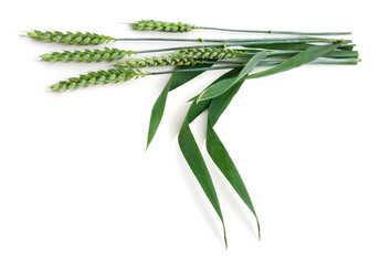 Green ears of wheat.