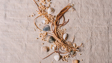 A collection of seashells, small pebbles, and strands of dried seaweed is artistically arranged on a light fabric backdrop. The display captures the essence of a coastal environment