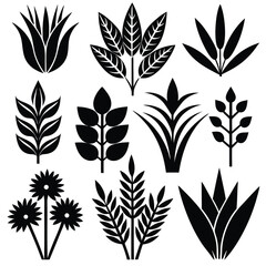 
Nature's Foliage & Botanical Plant Silhouettes