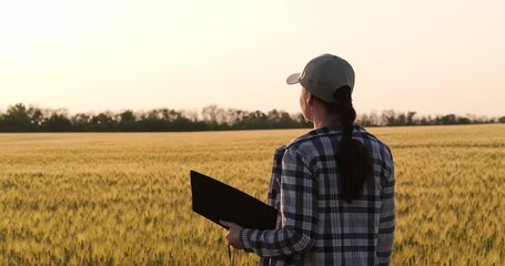Agriculture expert woman inspecting wheat field sunset Woman agronomist checking harvest agriculture Professional farming concept agriculture Crop inspection wheat agriculture sunset