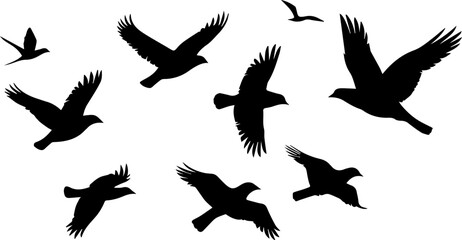Flock of Birds in Flight Illustration

