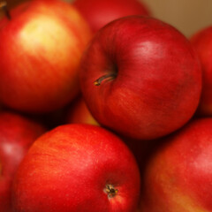 beautiful ripe apples lie in a plate
