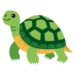 Obraz premium Cute cartoon turtle. Green reptile . Suitable for educational poster, logo, children's books and encyclopedias. Isolated vector illustration on white background. Side view.
