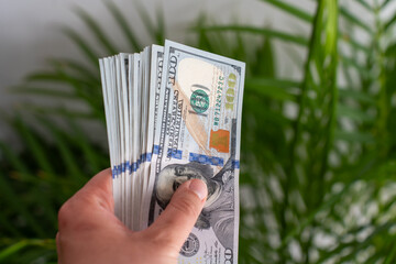 Hand holding thick stack of hundred dollar bills in front of green tropical leaves. Concept of...