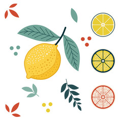 Illustration of a whole lemon, citrus fruit slices, and decorative leaves in a flat, modern style. Ideal for summer themes, food design, and healthy living concepts. Isolated on white.