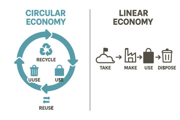 The infographic diagram illustrates the difference between circular and linear economies, providing comparative linear and circular infographics suitable for presentations, website banners, or other