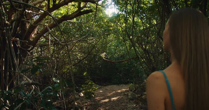 Woman walks through a dense forest trail looks ahead into mangrove path under sunlight and overhanging branches