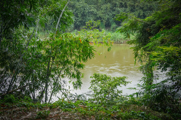 Peradeniya Royal Botanical Garden in Kandy, Sri Lanka