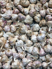 A pile of garlic bulbs