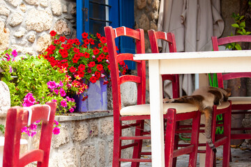 Greek city Afitos with old and authentic houses, greek taverna, siesta concept.