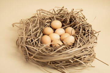 Brown eggs in paper nest – top view