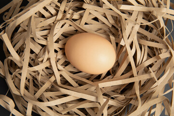 Brown egg in paper nest – top view