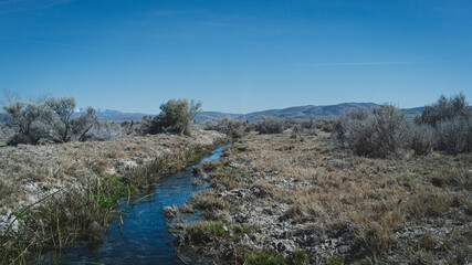 Fototapeta premium Brook near hot springs in the Nevada Desert 
