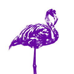 Majestic Purple Flamingo Pop Art | Isolated Stylized Bird Graphic Illustration PNG