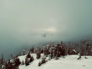 Snow-covered mountain with dense pine forest fading into thick fog under a moody sky.
