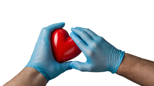 Close-up of Hands in Blue Medical Gloves Gently Holding a Red Heart