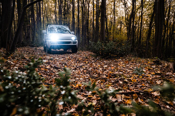 Off-road vehicle driving on a path in autumn forest at night
