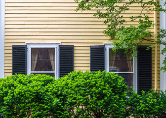 Charming yellow house facade with black shutters and vibrant green bushes in Brookline, Massachusetts, USA
