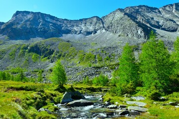 Mountains above a stream flowing down a meadow with larch trees in Dösental, Hifh Tauern,...