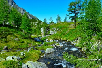 Creek flowing next to a meadow with larch trees in Dösental, High Tauern mountains, Carinthia