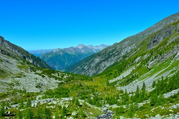 View of Dösen valley with a creek flowing across meadow bellow and larch trees in High Tauern mountains, Carinthia, Austria