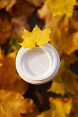Top view of white cup lid with maple leaf of eco zero waste paper cup take away with hot drink, coffee, tea on fallen colourful leaves on backdrop, mockup. Seasonal warm drinks to go in cold weather