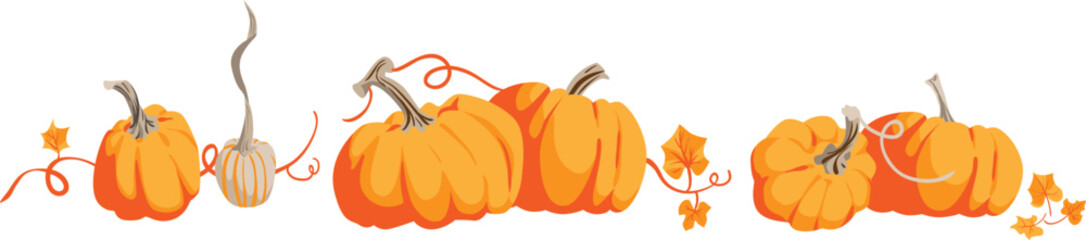 Pumpkin autumn harvest