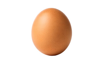 High-Resolution Image of a Single Brown Chicken Egg Isolated on White Background